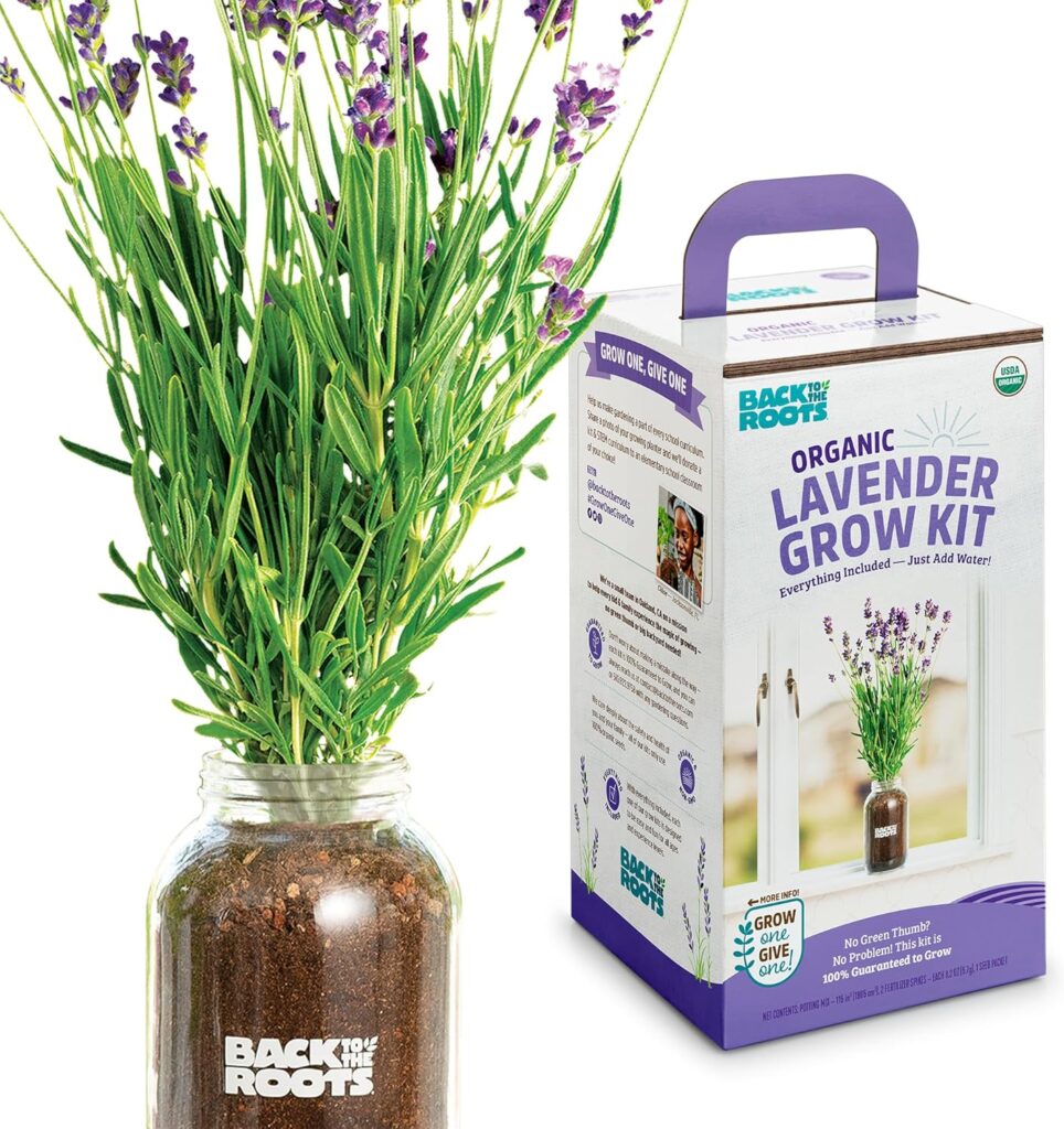 Lavender Kit
