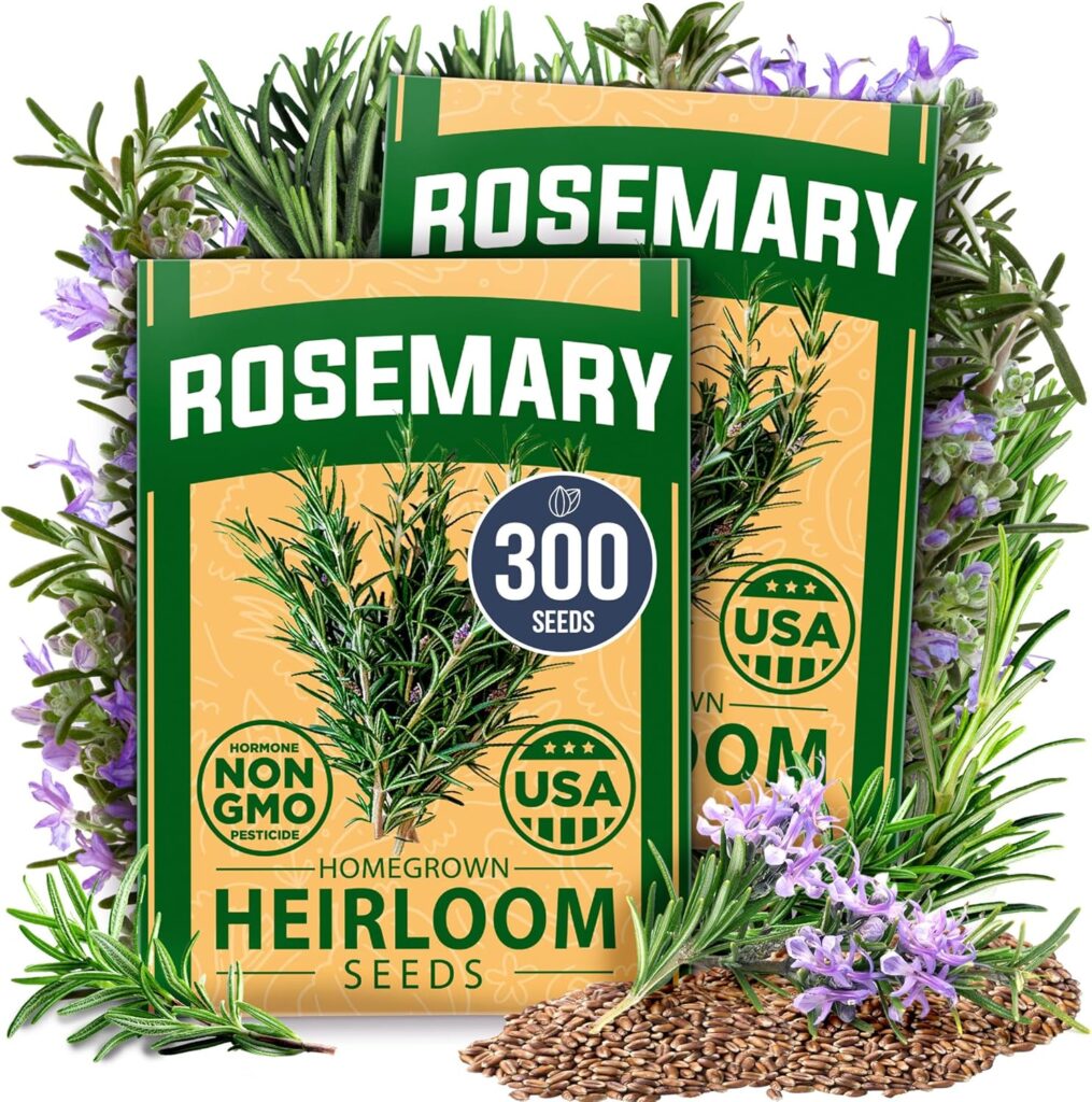 Rosemary Seeds