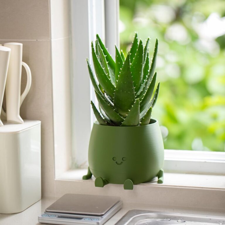 Grow to Heal: 5 Indoor Plants That Boost Digestion and Gut Health