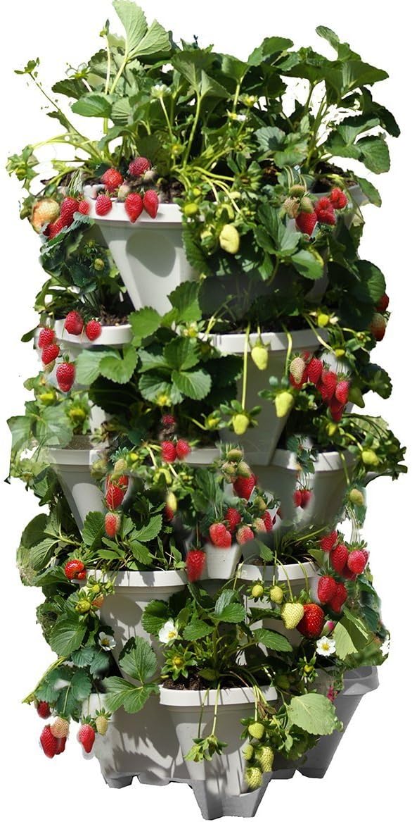 Unlock Your Green Thumb: A Complete Guide to Small Space Gardening for Beginners