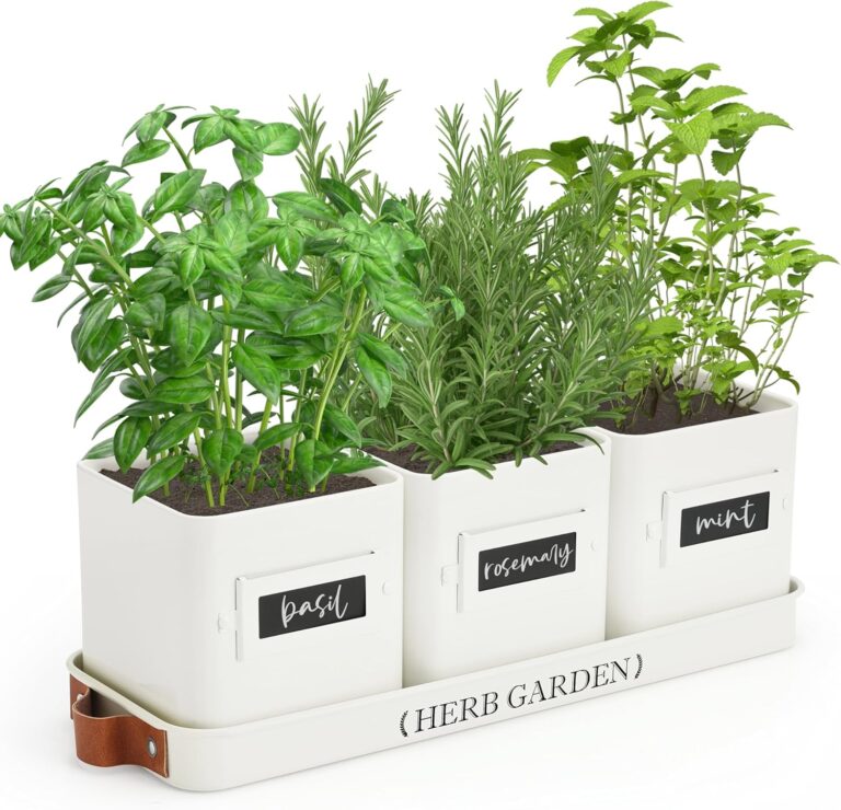 More Than Flavor – Benefits of Growing Herbs Indoors